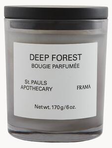 Vonná svíčka Deep Forest (pomeranč, bílá růže, cedr a pačuli)