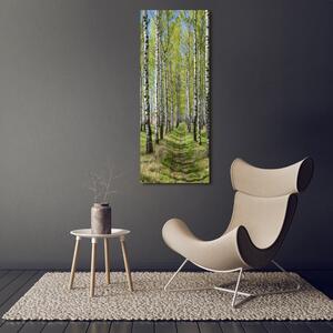 Vertikální Foto obraz sklo tvrzené Břízový les osv-102231208
