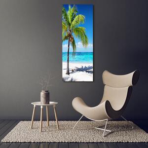 Vertikální Foto obraz na plátně Tropická pláž ocv-102463727