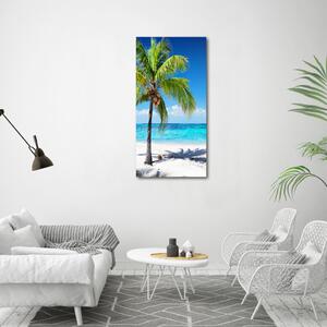 Vertikální Foto obraz skleněný svislý Tropická pláž osv-102463727