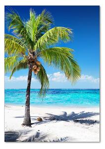 Vertikální Foto obraz skleněný svislý Tropická pláž osv-102463727