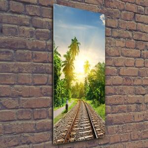 Vertikální Foto obraz sklo tvrzené Železniční koleje osv-102836726