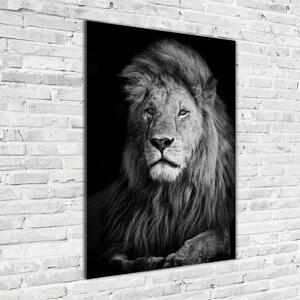 Vertikální Foto-obrah sklo tvrzené Portrét lva osv-102854237