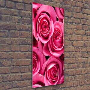 Vertikální Foto obraz sklo tvrzené Růžové růže osv-102915574