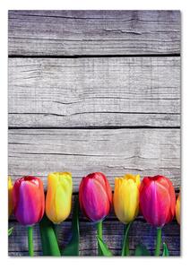 Vertikální Fotoobraz na skle Barevné tulipány osv-103218042