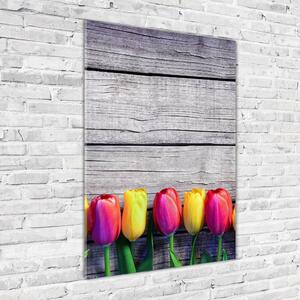 Vertikální Fotoobraz na skle Barevné tulipány osv-103218042
