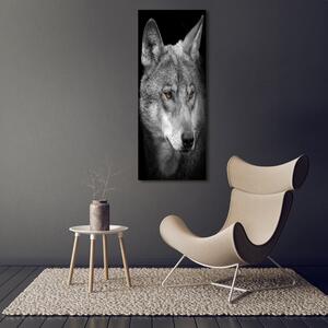 Vertikální Foto-obrah sklo tvrzené Portrét vlka osv-103311727