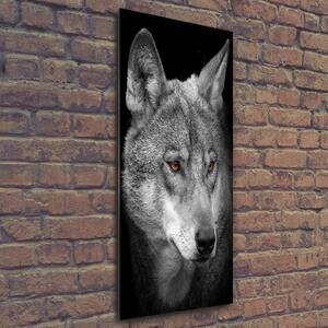 Vertikální Foto-obrah sklo tvrzené Portrét vlka osv-103311727