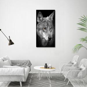 Vertikální Foto obraz na plátně Portrét vlka ocv-103311727