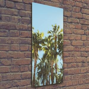 Vertikální Fotoobraz skleněný na stěnu do obýváku Palmy osv-103314952