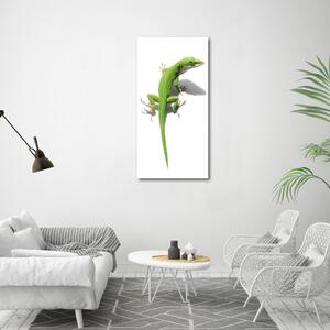 Vertikální Foto obraz na plátně Zelená ještěrka ocv-103468723