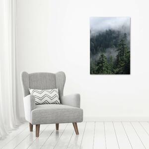 Vertikální Foto obraz fotografie na skle Mlha nad lesem osv-103817714