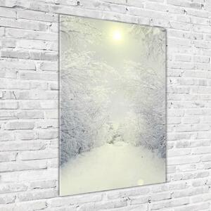 Vertikální Foto-obrah sklo tvrzené Les zima osv-103882841