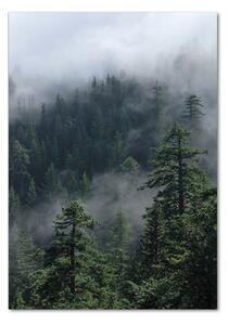 Vertikální Foto obraz fotografie na skle Mlha nad lesem osv-103817714