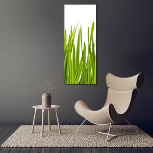 Vertikální Foto obraz na plátně Zelená tráva ocv-104077320