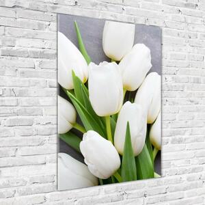 Vertikální Foto obraz fotografie na skle Bílé tulipány osv-104270630
