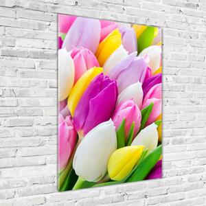 Vertikální Fotoobraz na skle Barevné tulipány osv-104468261