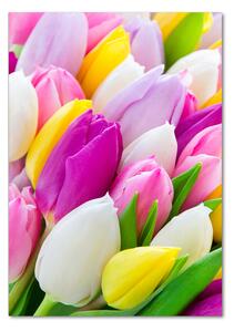 Vertikální Fotoobraz na skle Barevné tulipány osv-104468261