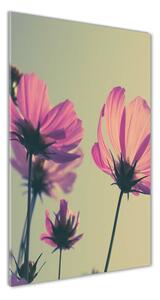 Vertikální Foto obraz sklo tvrzené Růžové květiny osv-104707608