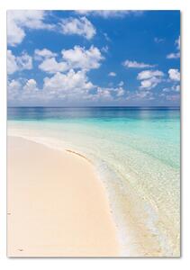 Vertikální Foto obraz fotografie na skle Pláž Maledivy osv-104787561