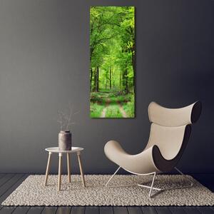 Vertikální Vertikální Foto obraz na plátně do obýváku Zelený les ocv-104709227