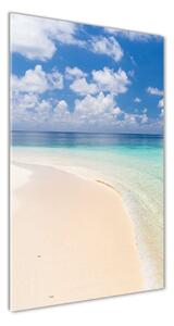 Vertikální Foto obraz fotografie na skle Pláž Maledivy osv-104787561