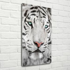 Vertikální Foto-obrah sklo tvrzené Bílý tygr osv-104866855
