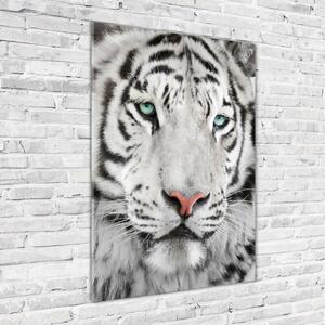 Vertikální Foto-obrah sklo tvrzené Bílý tygr osv-104866855