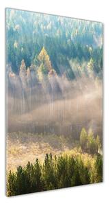 Vertikální Foto obraz fotografie na skle Mlha nad lesem osv-104886541