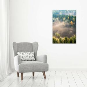 Vertikální Fotoobraz fotografie na plátně Mlha nad lesem ocv-104886541