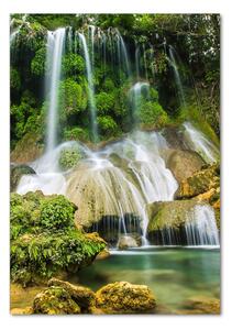 Vertikální Fotoobraz na skle Vodopád v džungli osv-104909030