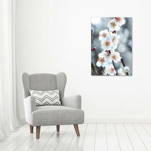 Vertikální Foto obraz canvas Květy višně ocv-104952401