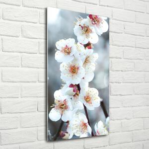 Vertikální Foto obraz sklo tvrzené Květy višně osv-104952401