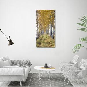 Vertikální Foto obraz canvas Břízový les ocv-105179971