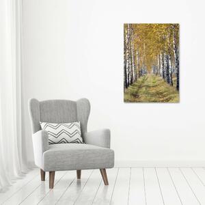 Vertikální Foto obraz canvas Břízový les ocv-105179971