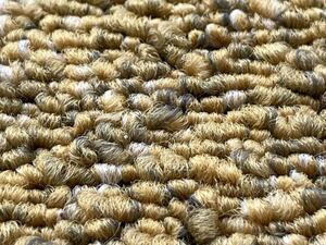 Vopi | Kusový koberec Alassio zlatohnědý - 120 x 170 cm