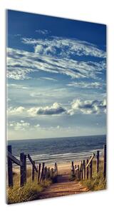 Vertikální Foto obraz skleněný svislý Stezka na pláž osv-105624494