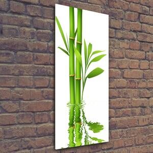 Vertikální Moderní skleněný obraz z fotografie Bambus osv-105685926