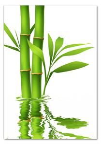 Vertikální Moderní skleněný obraz z fotografie Bambus osv-105685926