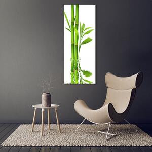 Vertikální Moderní fotoobraz canvas na rámu Bambus ocv-105685926