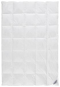 CELOROČNÍ PŘIKRÝVKA, 135/200 cm, kachní prachové peří, kachní peří Sleeptex - Přikrývky, Online Only