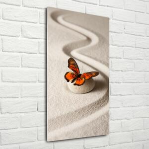 Vertikální Foto-obraz na skle Kámen zen a motýl osv-105886017