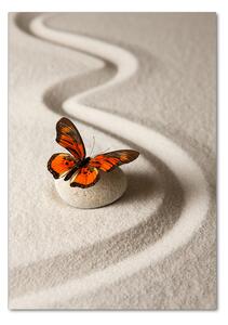 Vertikální Foto-obraz na skle Kámen zen a motýl osv-105886017