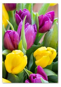 Vertikální Fotoobraz na skle Barevné tulipány osv-106061917
