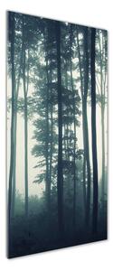 Vertikální Foto obraz sklo tvrzené Mlha v lese osv-106280644