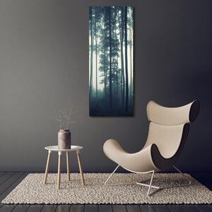 Vertikální Foto obraz canvas Mlha v lese ocv-106280644