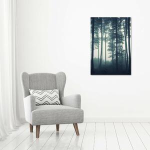 Vertikální Foto obraz canvas Mlha v lese ocv-106280644