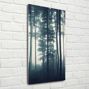 Vertikální Foto obraz sklo tvrzené Mlha v lese osv-106280644
