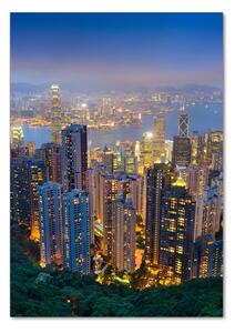 Vertikální Foto obraz sklo tvrzené Noční Hong kong osv-106686696