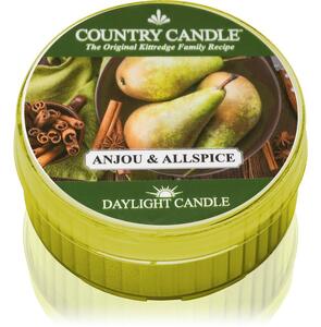 Country Candle Anjou & Allspice čajová svíčka 42 g